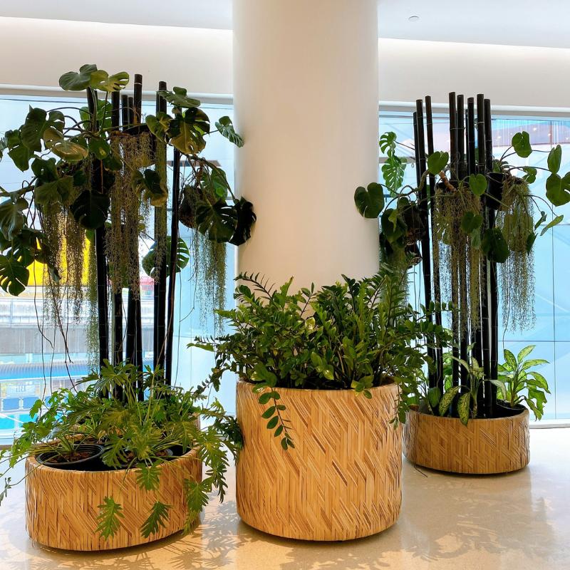 Garden & Planters